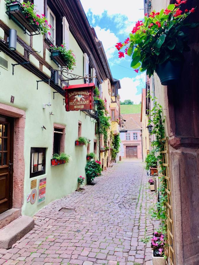 La Ruelle Alsacienne, Charme Alsacien Et Confort Moderne Riquewihr Exterior foto