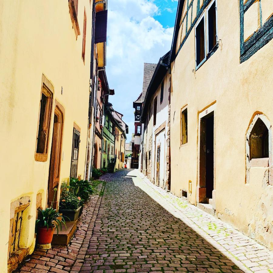 La Ruelle Alsacienne, Charme Alsacien Et Confort Moderne Riquewihr Exterior foto